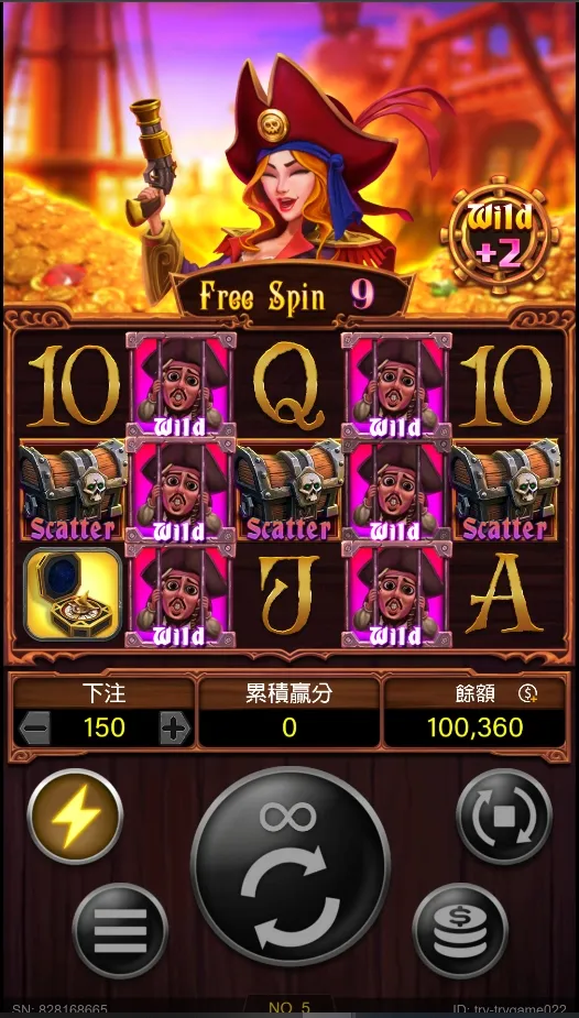 狂野海盜